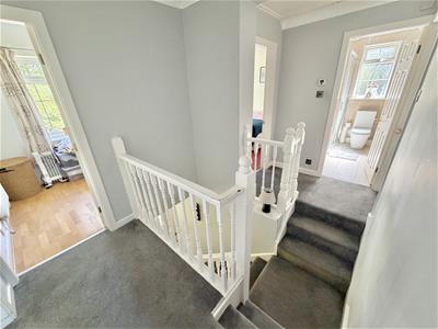 Picture 20